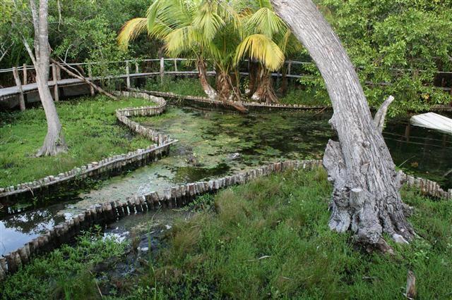 Río Lagartos Casa Laguna Lagartos酒店 外观 照片